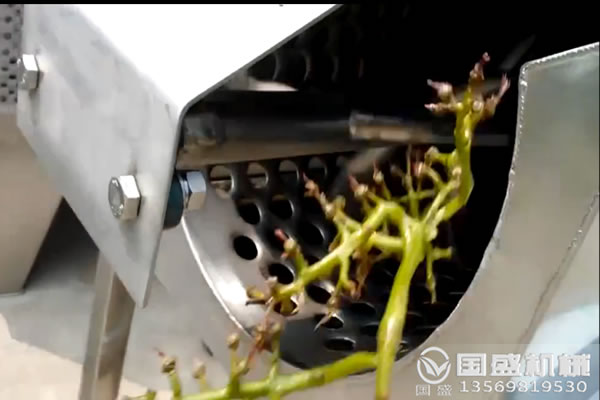 葡萄除梗機產量